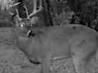 Ivy Trl, Novinger, MO 63559