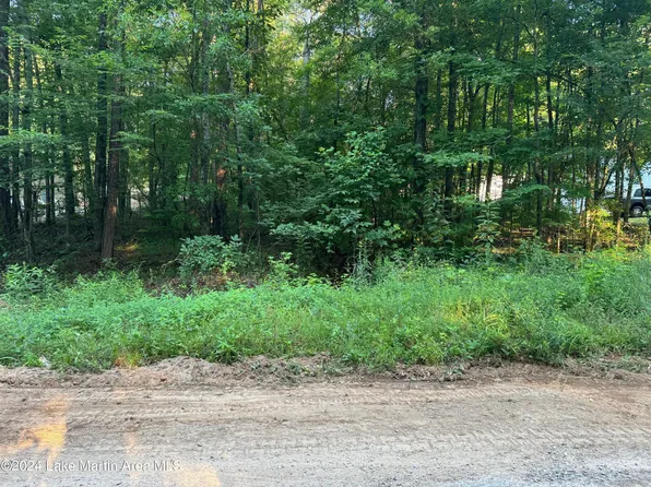 45 Lower Bottom Rd, Alexander City, AL 35010