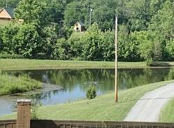 4th image of 115 White Tail Way