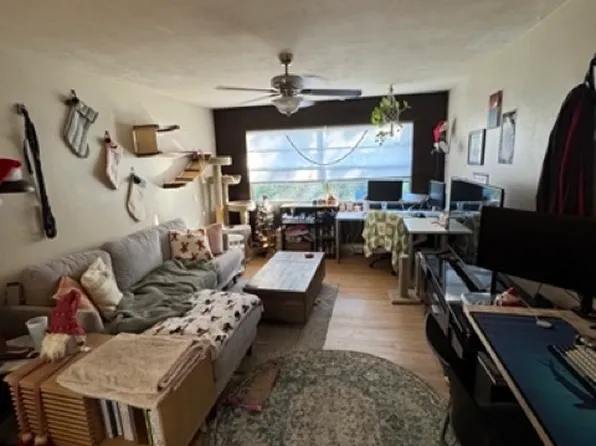 902 SW 7th Ave APT 2, Gainesville, FL 32601