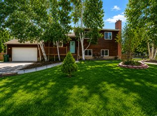 9905 N Meadow Dr, Cedar Hills, UT 84062