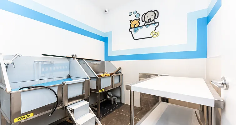 Rented by CW Realty Property Management LLC | media 75