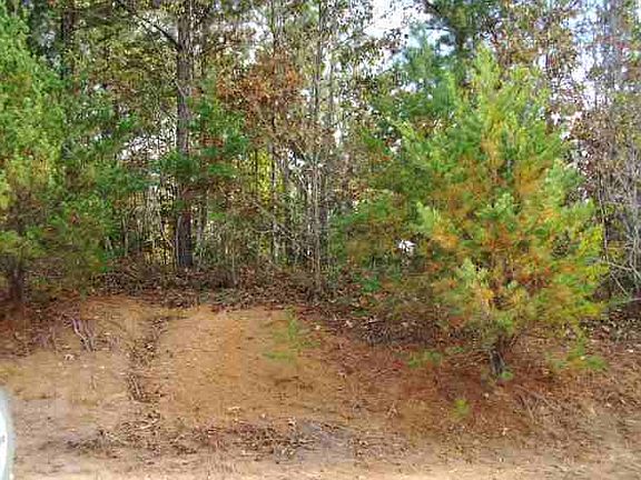 2nd image of 917 Robertson Bluff Ct