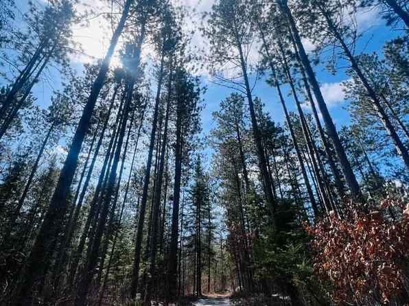 County Road 4, Talmoon, MN 56637