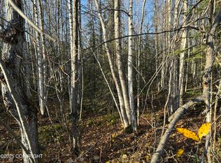 20135 E Caughtabigone Ave, Talkeetna, AK 99676