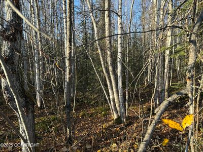 20135 E Caughtabigone Ave, Talkeetna, AK, 99676