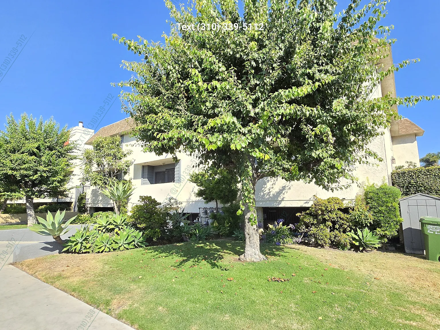2 bed, 801 sqft, $2,680 — Photo 2
