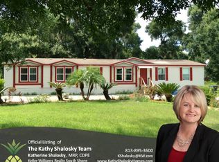 115 Pernell Johnson Dr, Seffner, FL 33584