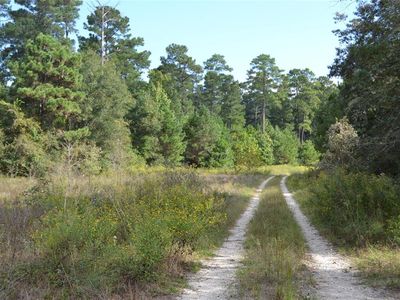 991 County Road 1200, Grapeland, TX, 75844
