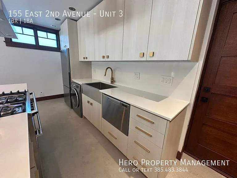 155 E 2nd Ave #3 — Photo 4