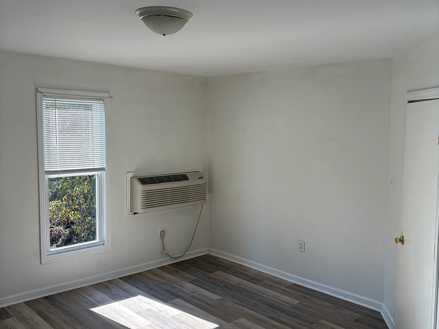 1 bed, $750 — Photo 3