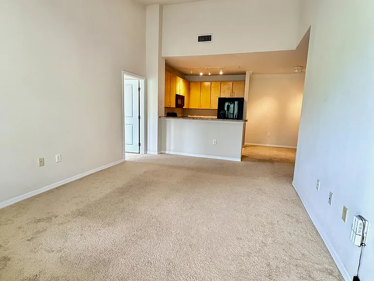 12700 Bartram Park Blvd #2332 — Photo 6