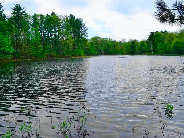 4571 Hiawatha Trl, Gaylord, MI 49735