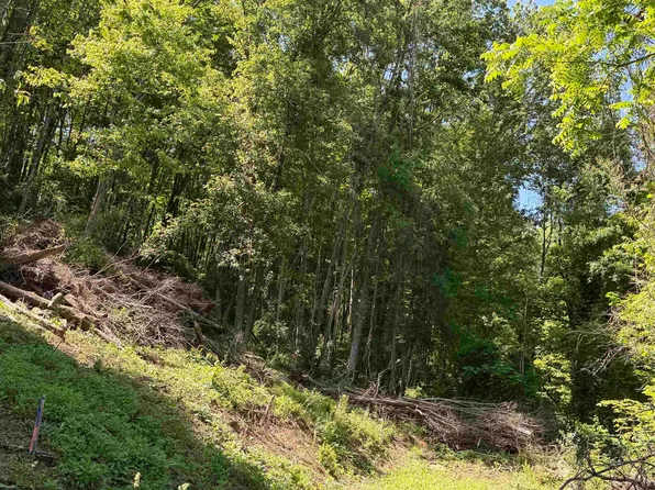 Sandy Dr, Grafton, WV 26354
