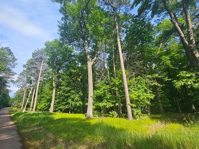 Whitefish Ave, Crosslake, MN, 56442