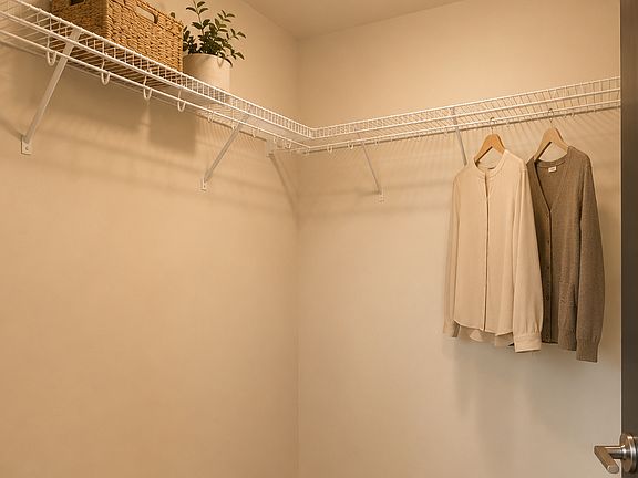 Primary Walk-in Closet