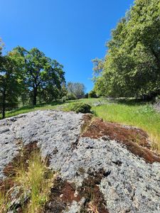 Cherry Acres Cir, Cool, CA, 95614