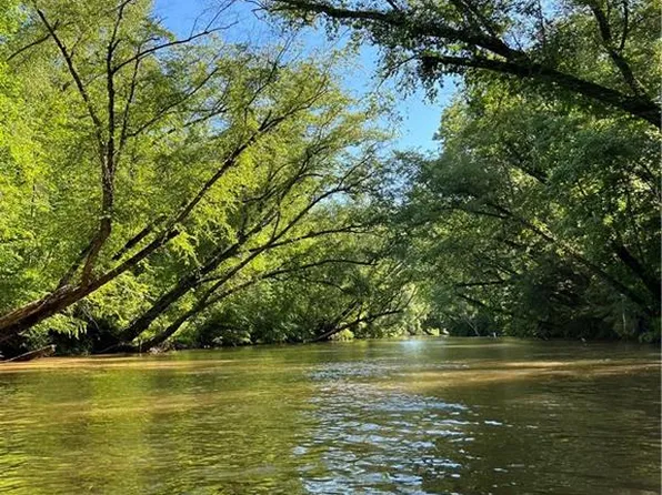 0 Lewis Grindle Rd Parcel 4-446, Dahlonega, GA 30533