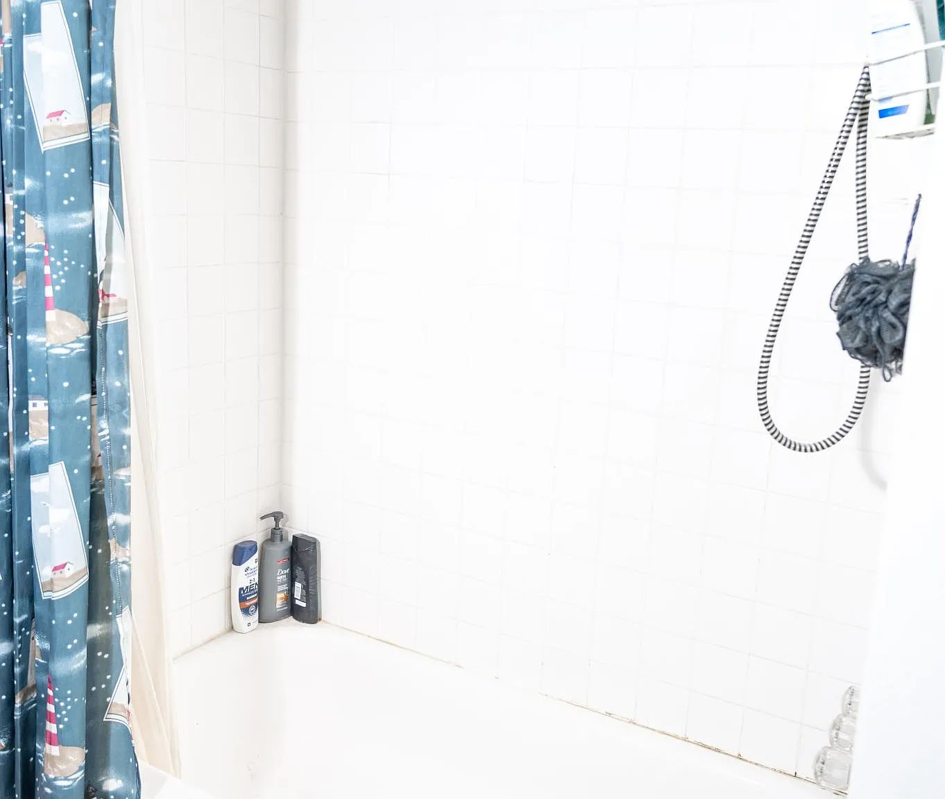 Studio, 200 sqft, $550 — Photo 4