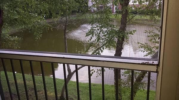 View from porch