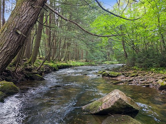 3rd image of 663 Fork Run Rd