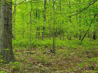 4327 Ebenezer Rd #1B-33-A, Bluemont, VA 20135