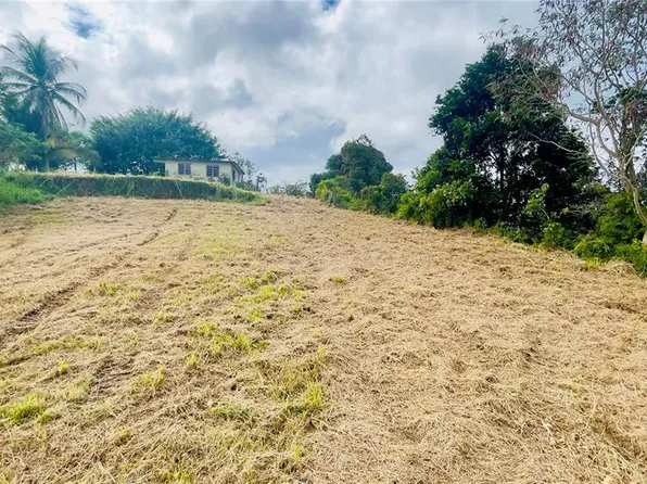 908 Saint Barrio Tejas, Yabucoa, PR 00767