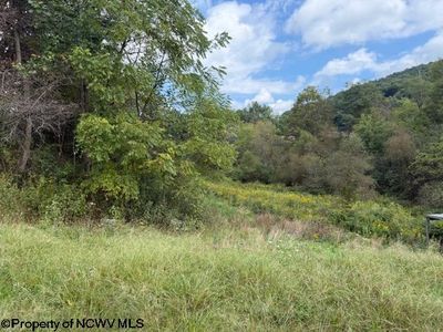 2229 Morgantown Pike, Belington, WV, 26250