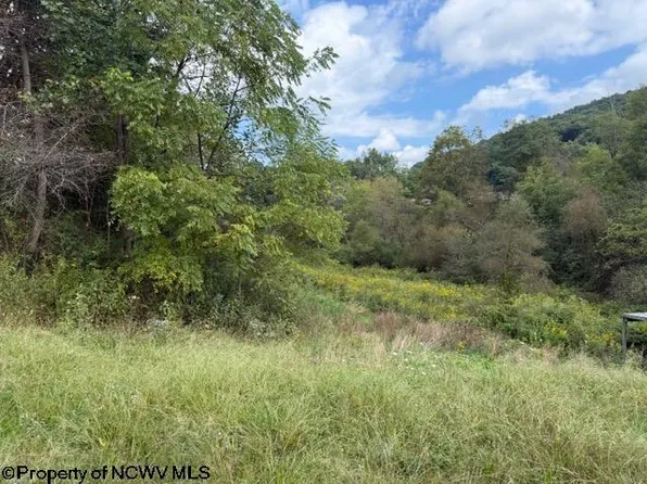 2229 Morgantown Pike, Belington, WV 26250