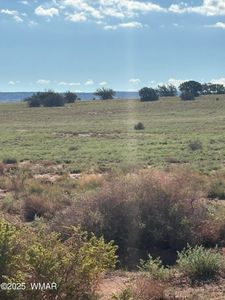 E N Cres #5576, Concho, AZ, 85924