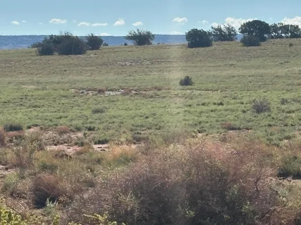 E N Cres #5576, Concho, AZ 85924