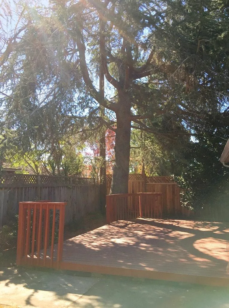 804 Cottonwood Dr — Photo 1