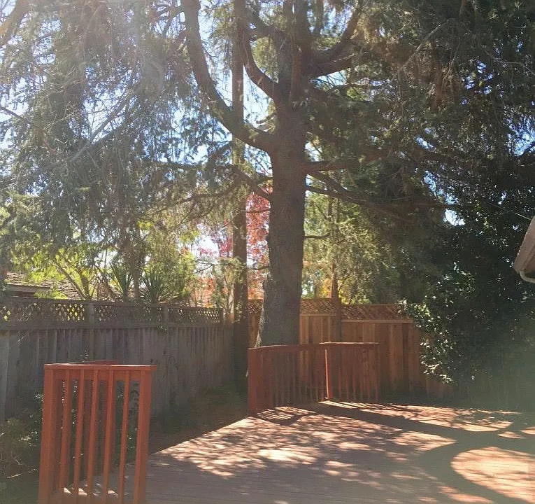 804 Cottonwood Dr