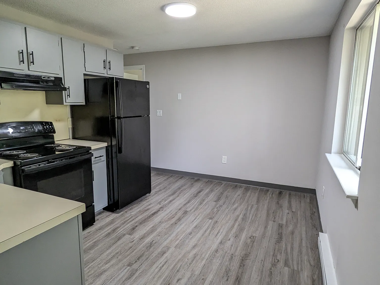 1 bed, $1,100 — Photo 2