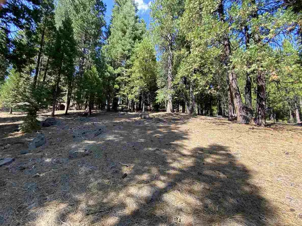 315 Top Of The West Dr, Chester, CA 96020