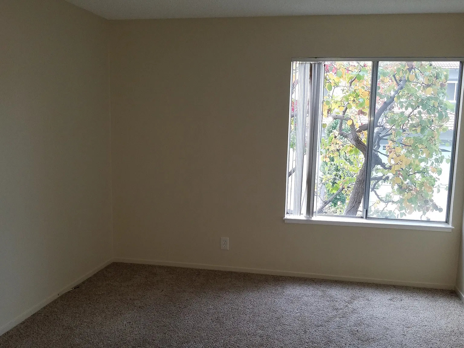 2 bed, 1200 sqft, $3,850 — Photo 3