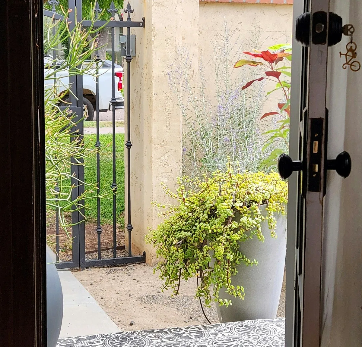 521 W Cypress St — Photo 4