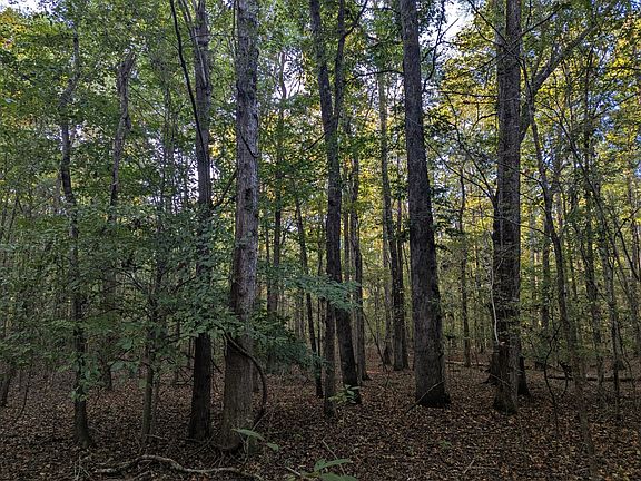 2nd image of 0 Cedar Grove Rd