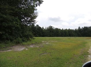 1670 Willow Point Rd, Effingham, SC 29541