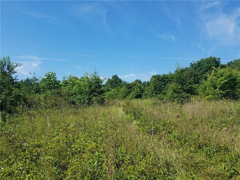 2nd image of 110 Ethan Hill Dr