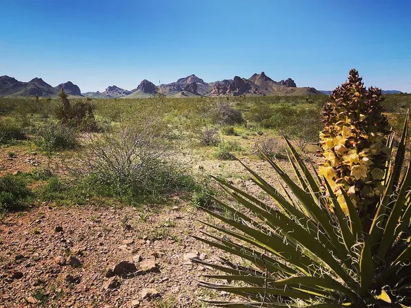 3821 S Pima Rd, Golden Valley, AZ 86413