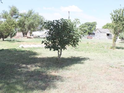 703 Oak Ave, Panhandle, TX, 79068