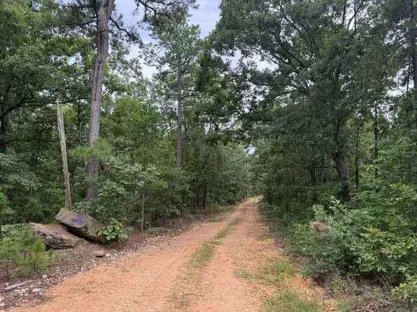 0 Na E Sw Sw= SE #1/2, Mountain View, AR 72560