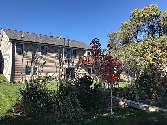 Mature Landscaping