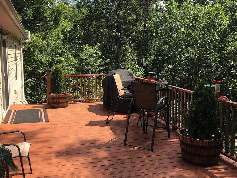210 Lower Glady Fork Rd — Photo 19