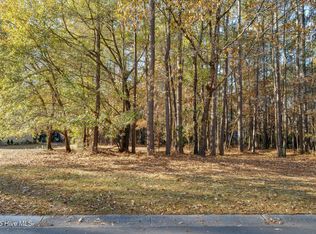 266 Red Fox Run Drive, Wallace, NC 28466