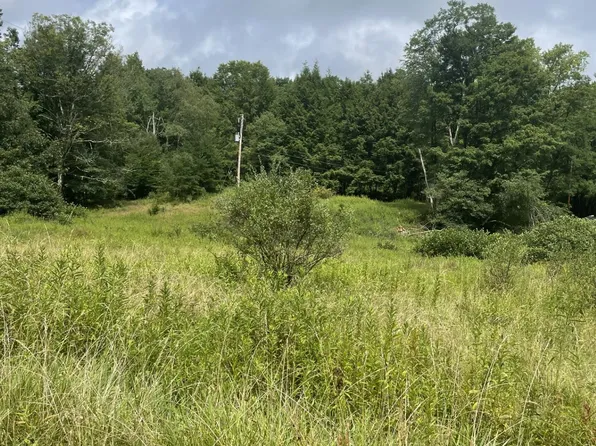 3203 Edmond Rd, Lookout, WV 25868