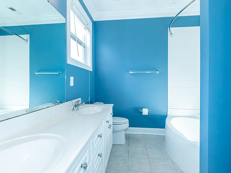 Downstairs Master Bathroom