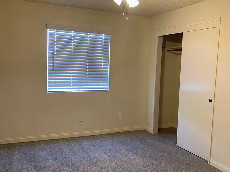 2500 Dracena St — Photo 3