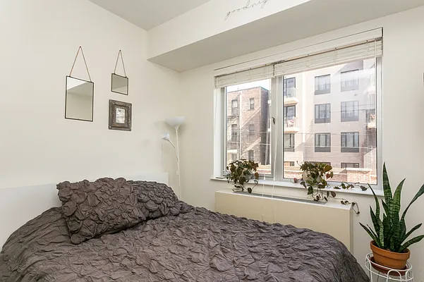 Rented by MNS | media 43